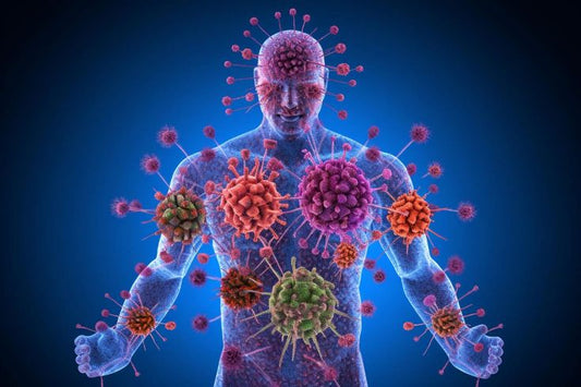 Top 10 Immune-Boosting Products Every American Should Have