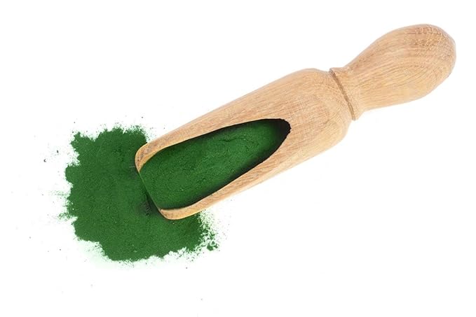 Food to Live Organic Spirulina Powder, 16 Pounds — Non-GMO, Kosher, Raw Blue-Green Algae, Vegan Superfood, Bulk, Non-Irradiated, Pure Vegan Green Protein, Rich in Vitamins & Minerals, Great for Drinks