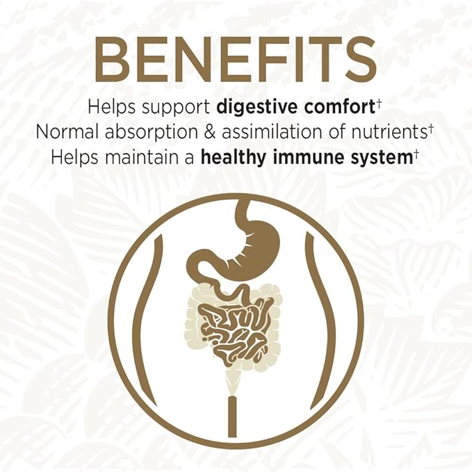 Garden of Life Whole Food Probiotic Supplement 60 Vegetarian