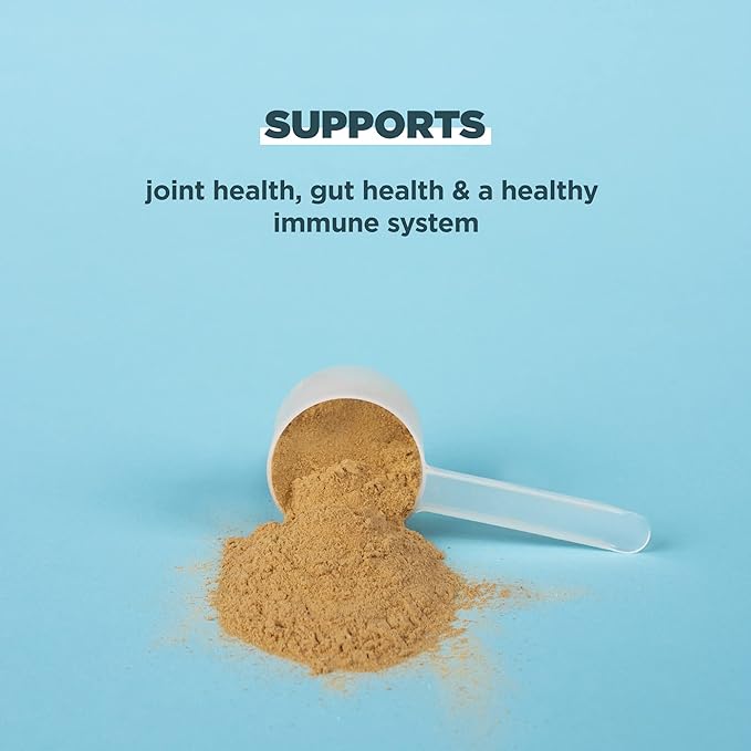 Ancient Nutrition Protein Powder Made from 20g Protein 20 Serving