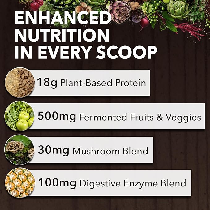 Organic Vegan Protein Powder 18.5 oz, 21 Servings