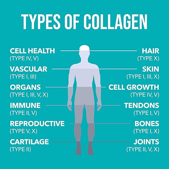 Natures Plus Collagen Peptides 0.65 lbs 28 Servings