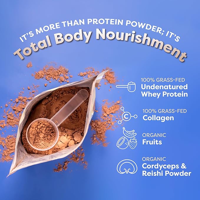 FlavCity All-in-One Protein Smoothie Powder, Variety Pack (5 Single Serve Packets) - 100% Grass-Fed Whey Protein Powder with 25g Protein & 10g Collagen - Gluten-Free Pre Workout & Post Workout Drink