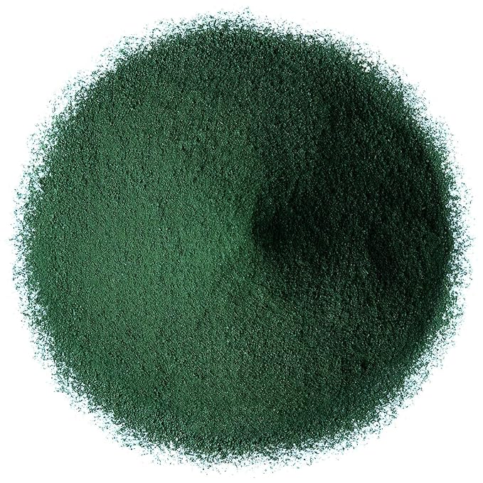 Food to Live Organic Spirulina Powder, 4 Ounces – Non-GMO, Kosher, Raw Blue-Green Algae, Vegan Superfood, Bulk, Non-Irradiated, Pure Vegan Green Protein, Rich in Vitamins & Minerals, Great for Drinks