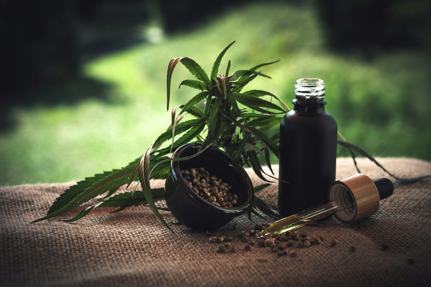 Herbal-supplements-for-stress-and-digestion