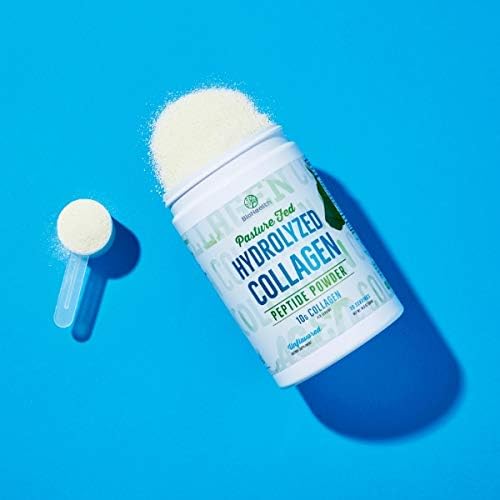 Post Workout & Recovery Hydrolyzed Collagen 100% Pasture