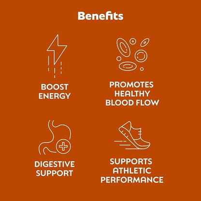 L'Evate You Vitality Daily Greens Powder (28 Servings) 30 Superfoods, 9 Greens - for a Cellular Energy Boost, Powered by M-Charge Complex for All Day Energy (Chocolate)