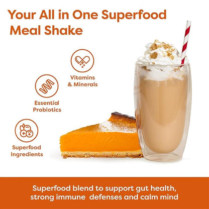 310 Nutrition All-In-One Meal Replacement Shake - Fiber-Rich Vegan Blend with Natural Sweeteners - Low Carb, Keto & Paleo Friendly, Gluten-Free, 26 Essential Vitamins, Pumpkin Spice, 28 Servings