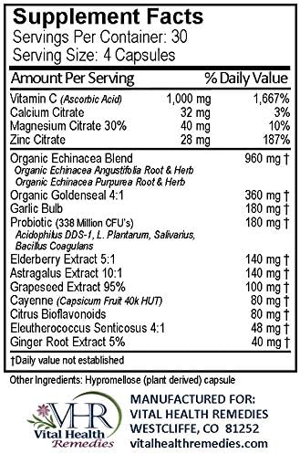 VHR WELLNESS COMPLEX IMMUNE BOOSTING Formula 120 veg