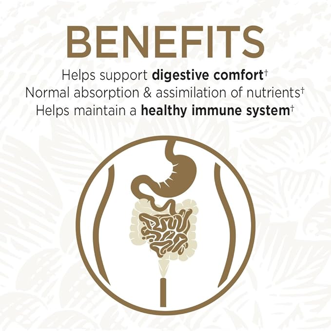 Garden of Life Whole Food Probiotic Supplement 60 Vegetarian