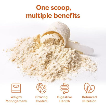 310 Nutrition All-In-One Meal Replacement Shake - Fiber-Rich Vegan Blend with Natural Sweeteners - Low Carb, Keto & Paleo Friendly, Gluten-Free, 26 Essential Vitamins, Pumpkin Spice, 28 Servings
