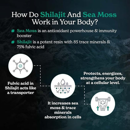 Shilajit Capsules with Sea Moss, Ashwagandha 10 in 1 Supplemet 60 Servings, 120 Capsules