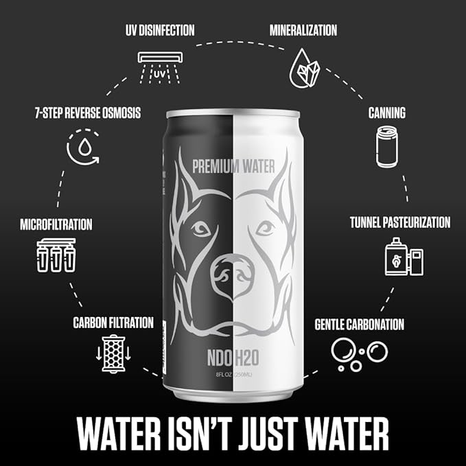 NO DAYS OFF Premium Sparkling Water 8.4oz - Purified Reverse Osmosis Canned Drinking Water with Alkaline pH Balance & Essential Minerals (Pack of 24)