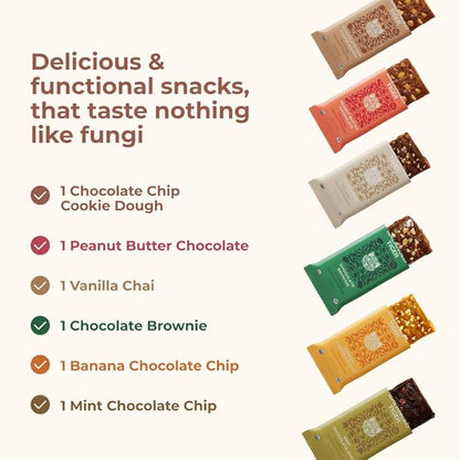 Organic Functional Mushroom Vegan Protein Bars | Made in USA | Full Dose (1500mg) Lions Mane, Chaga, Reishi & Cordyceps Bars | Plant Protein Bars w/Adaptogens & Superfoods | 6 Bars Sampler Pack