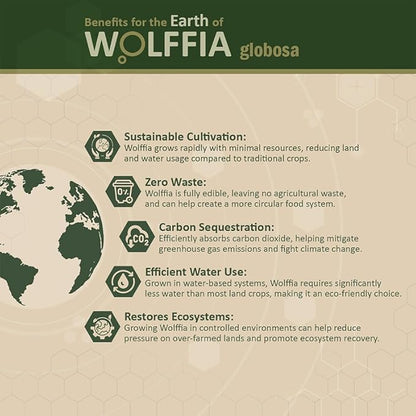 Premium Dried Wolffia globosa Superfood | Low Carb, High Protein 40% | Rich in Minerals, Vitamins A E B12 & Essential Amino Acids | The Future of Sustainable Plant-Based Nutrition 2.11 oz (60g)