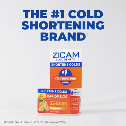 Zicam Cold Remedy Zinc Medicated Fruit 25 Count