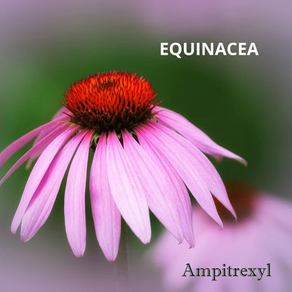 Plus, 100% Natural, Antioxidant, 30 Capsules, 1000 mg,