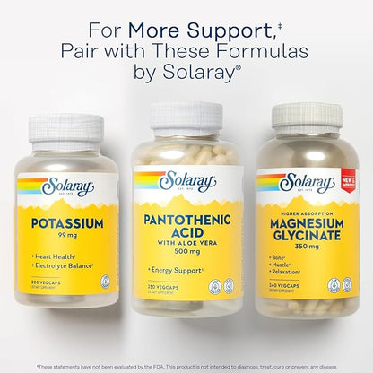 Solaray Pantothenic Acid 500mg - Vitamin B 5 - B Vitamin for Coenzyme-A Production, Energy Metabolism, Digestive Health, Hair Health, Skin and Nails Support - Vegan, 60-Day Guarantee - 250 VegCaps