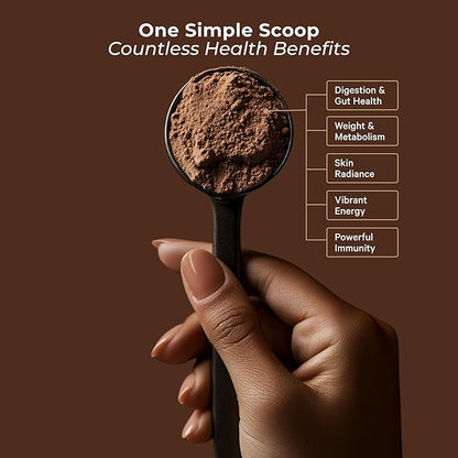 Meal Replacement Shake - Nutritious Plant Based Organic Protein Powder (Chocolate, 24 Servings) - Meal Replacement & Snack for Breakfast - Keto, Vegan, Low Carb, Soy-Free, Gluten-Free
