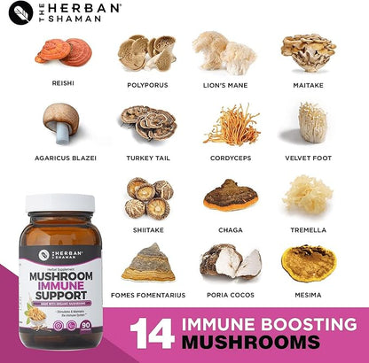 Mushroom Supplement Immune Support (90 Capsules)