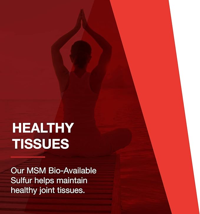Protocol MSM Bioavailable Sulfur 1,000mg - 180 Veg