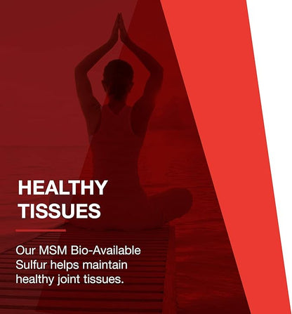 Protocol MSM Bioavailable Sulfur 1,000mg - 180 Veg
