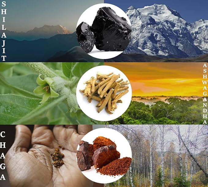 Shilajit Gummies 500mg with Chaga Ashwagandha B12 and D2 Vitamins