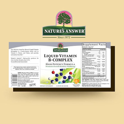 Nature's Answer Liquid Vitamin B-Complex Supports Healthy Energy Levels | Promotes Healthy Nerve Function | All-Natural Tangerine Flavor | Gluten-Free & Benzoate-Free 16oz