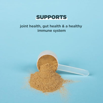Ancient Nutrition Protein Powder Made from 20g Protein 20 Serving