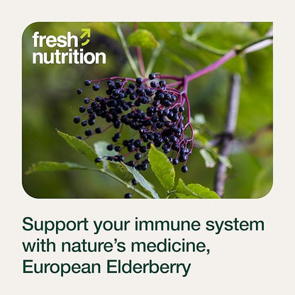 Elderberry Immune Support – Strongest DNA 1800mg Sambucus