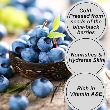 Naturevibe Botanicals Blueberry Oil 32 Ounces 100% Pure