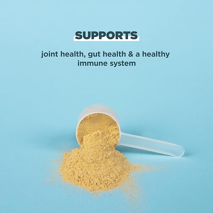 Ancient Nutrition Protein Powder Made from 20g Protein 20 Serving