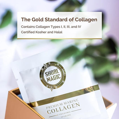 Premium Marine Collagen Powder with Type 28 Stir 10g Each