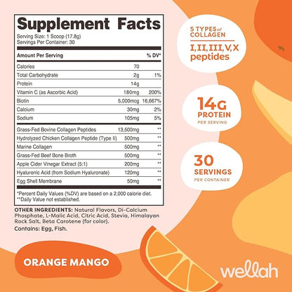 The Afterglow Multi Collagen Protein + (30 Servings,