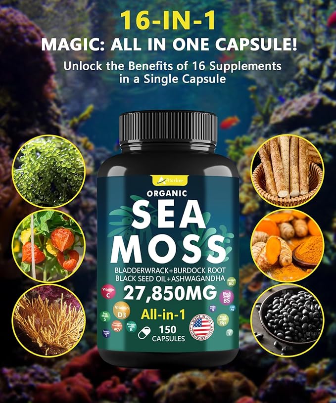 Sea Moss Capsules Complex with Black Seed Oil,Aşhwagandha,Burdock Root,Bladderwrack Ginger Vitamins Multimineral Supplement - Irish Wild Seamoss Pills Advanced Blend for Men&Women (150 Capsules)