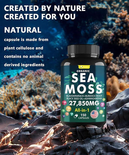 Sea Moss Capsules Complex with Black Seed Oil,Aşhwagandha,Burdock Root,Bladderwrack Ginger Vitamins Multimineral Supplement - Irish Wild Seamoss Pills Advanced Blend for Men&Women (150 Capsules)