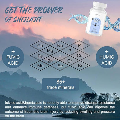 Shilajit Pure Himalayan Organic-Shilajit Supplement-Gold Grade Formula,85+Trace Minerals 75%+ Fulvic Shilajit-120-Day Supply