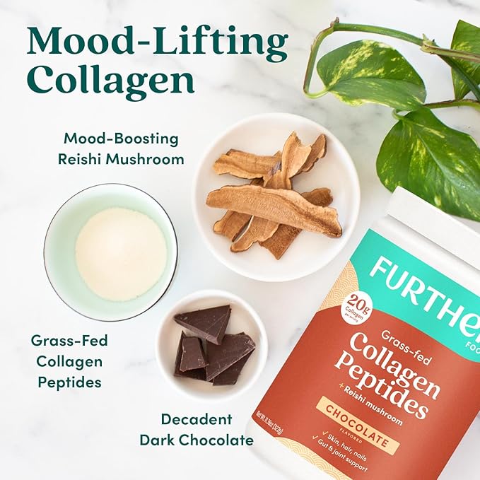 Further Food Chocolate Collagen Peptides Powder, 1 & 3 Protein, 24.34 oz