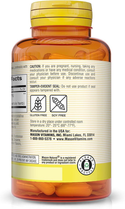 Mason Vitamins Gingko Biloba Capsules, 90