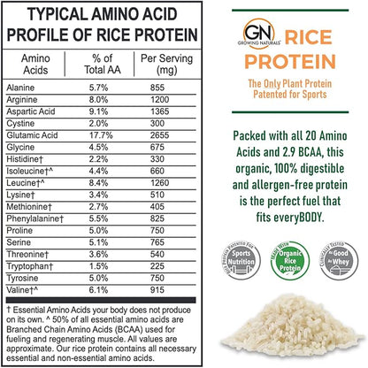 Original Rice Powder 15g Plant Protein 2.8G BCAA, (16.2 Ounce 1))