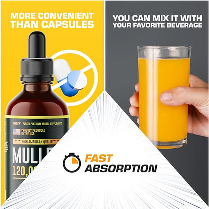 HERBIFY Mullein Drops 4 Oz