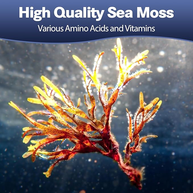 25-in-1 Sea Moss Black Seed Oil 18525mg, Sea C&D3 for 120 Caps