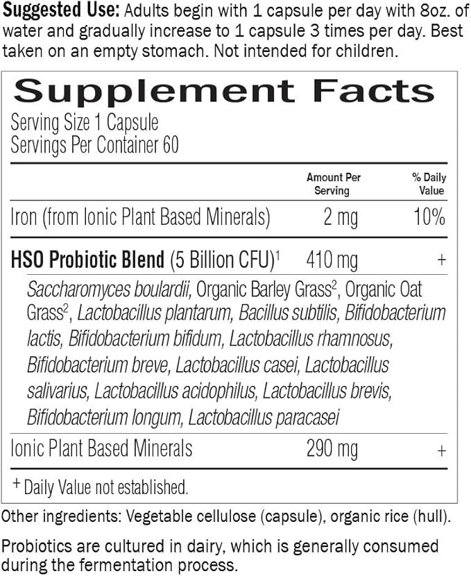 Garden of Life Whole Food Probiotic Supplement 60 Vegetarian