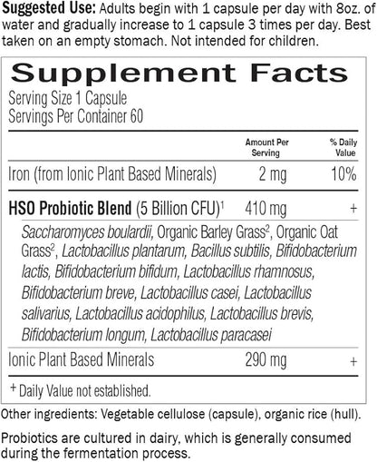 Garden of Life Whole Food Probiotic Supplement 60 Vegetarian