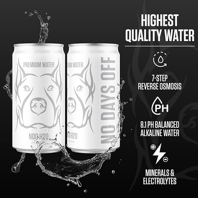 NO DAYS OFF Premium Still Water 8.4oz - Purified Reverse Osmosis Canned Drinking Water with Electrolytes, Alkaline pH Balance & Essential Minerals (Pack of 24)