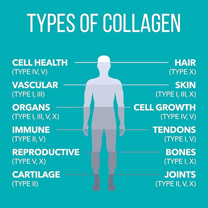 Natures Plus Collagen Peptides, Vanilla 0.8 lb 14 Servings