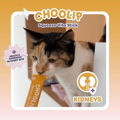 Squeeze Vita Stick Lickable Treats for Dogs & Cats. 49 Kidney support sticks with essential multivitamins. Soft and tasty paste for all life stages, supporting kidney health