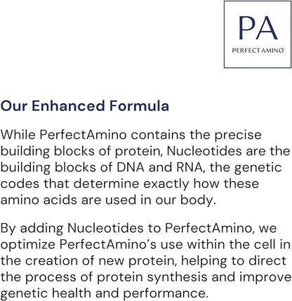 BodyHealth PerfectAmino Powder - BCAA and EAA Powder for Pre and Post Workout - Amino Acid Energy Drink Powder for Men and Women to Support Lean Muscle and Recovery - Vanilla - 60 Servings