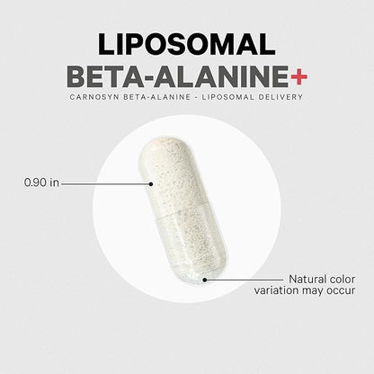Codeage Liposomal Beta-Alanine Supplement, CarnoSyn Beta 1600 mg, 2-Month Supply, 180 Capsules
