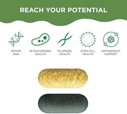 Healthycell AM PM, Natural AntiAging Multivitamin (30 Servings)